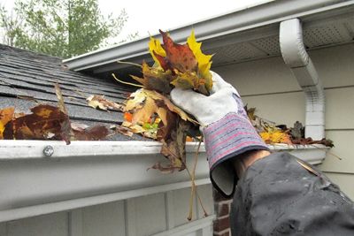 Gutter Cleaning
